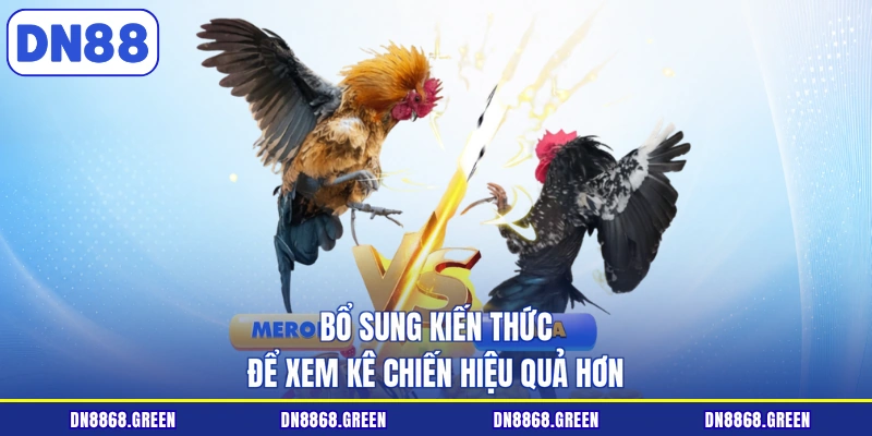 Bổ sung kiến thức để xem kê chiến hiệu quả hơn