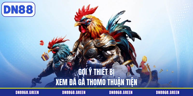 Gợi ý thiết bị xem đá gà Thomo thuận tiện