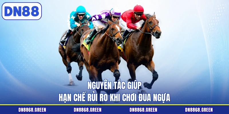 Nguyên tắc giúp hạn chế rủi ro khi chơi đua ngựa