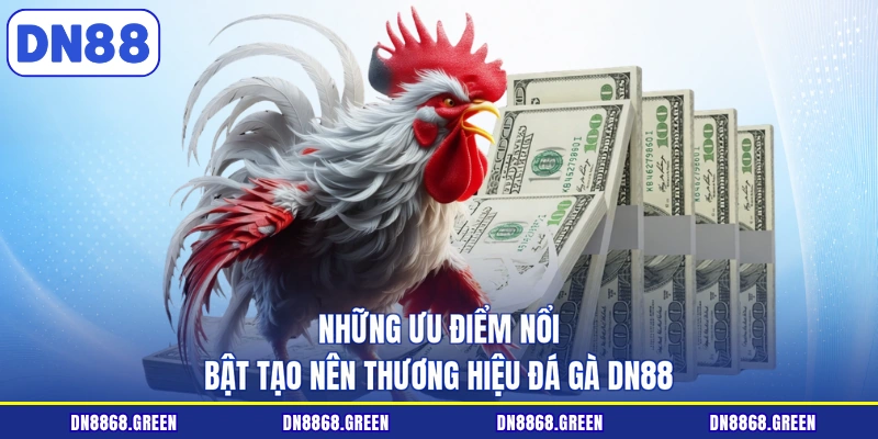 Những ưu điểm nổi bật tạo nên thương hiệu đá gà DN88