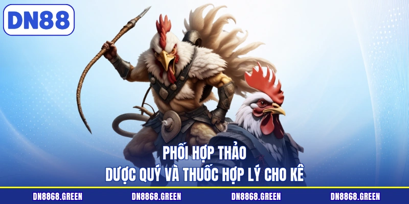 Phối hợp thảo dược quý và thuốc hợp lý cho kê
