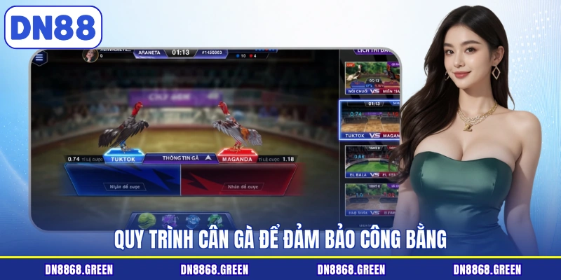 Quy trình cân gà để đảm bảo công bằng
